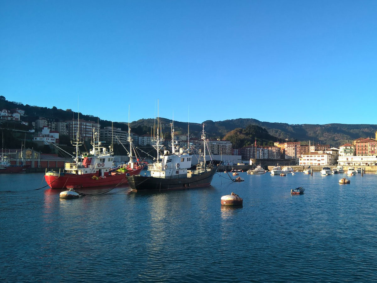 Karmelo Toja – Cofradía de Bermeo Karmelo Toja - Cofradía de Bermeo