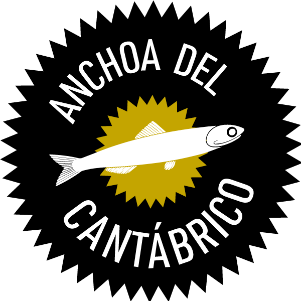 Anchoa del Cantábrico Anchoa del Cantábrico